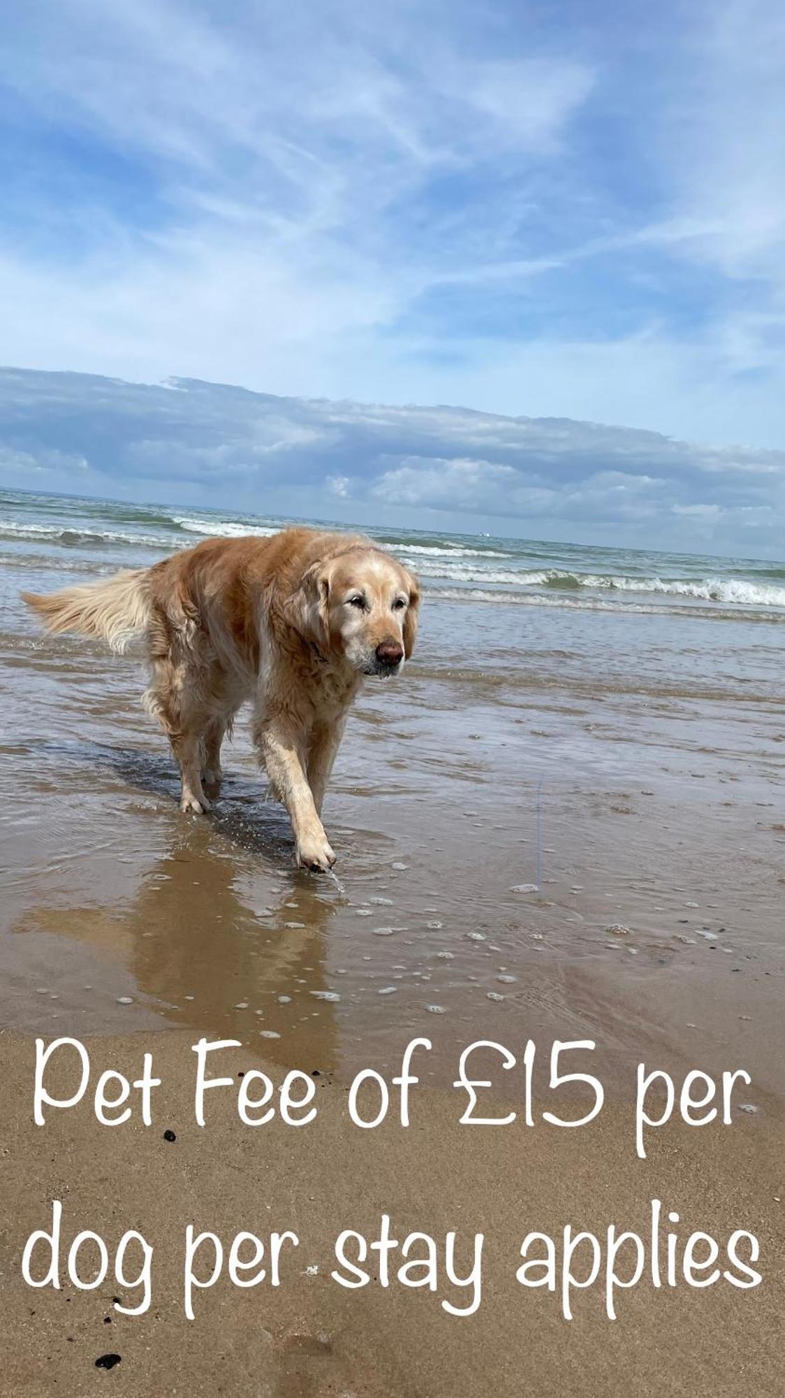 Fab Stay Uk - Coastal And Country Retreat With Free Secure Off Road Parking Minutes From Both Dover And Deal Экстерьер фото